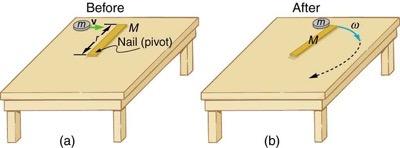 <b>Figure 10.26</b> (a) A disk slides toward a motionless stick on a frictionless surface. (b) The disk hits the stick at one end and adheres to it, and they rotate together, pivoting around the nail. Angular momentum is conserved for this inelastic collision because the surface is frictionless and the unbalanced external force at the nail exerts no torque.