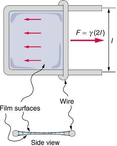 <b>Figure 11.32</b>. A sliding wire device for measuring the surface tension of a liquid. There is a front and back surface of the liquid, which is why the factor 2 appears in the equation for force.
