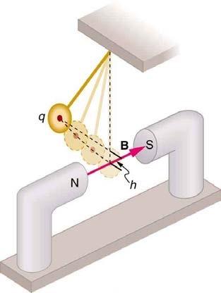 <b>Figure 22.63</b> A copper pendulum bob passes through a magnetic field at the bottom of it's path.