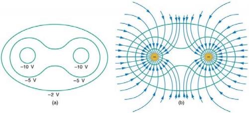 <b>Figure 19.15</b> Equipotential and electric field lines from two adjacent negative point charges.