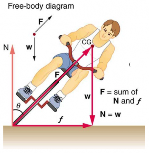 A bicyclist negotiating a turn on level ground must lean at the correct angle.The net external force on the system is the centripetal force. The vertical component of the force on the wheel cancels the weight of the system while its horizontal component must supply the centripetal force. This process produces a relationship among the angle θ , the speed v , and the radius of curvature r of the turn similar to that for the ideal banking of roadways.