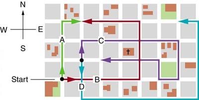 <b>Figure 3.52</b> The various lines represent paths taken by different people walking in a city. All blocks are 120 m on a side.