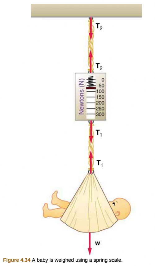 <b>Figure 4.34</b> A baby being weighed by a spring scale.