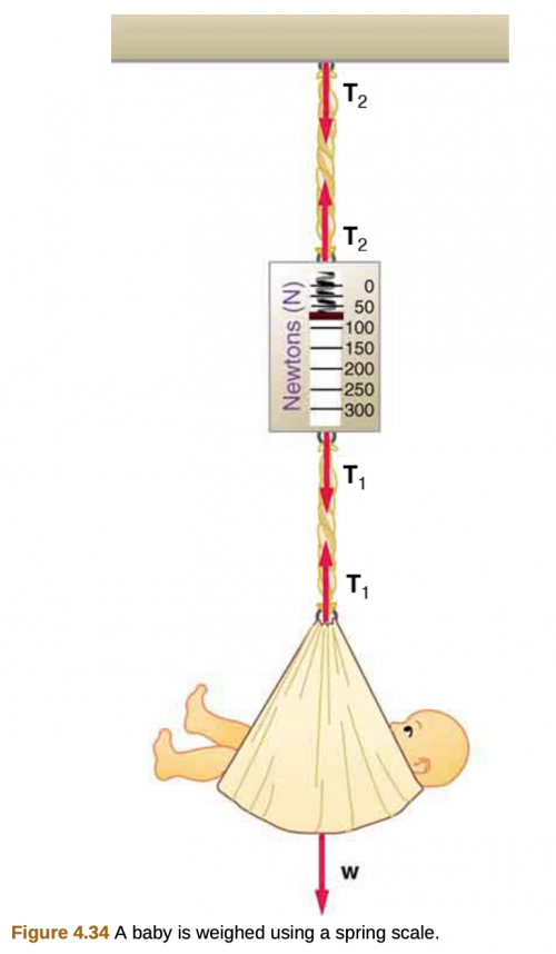 Solved A pinata is hanging from a rope represented by force