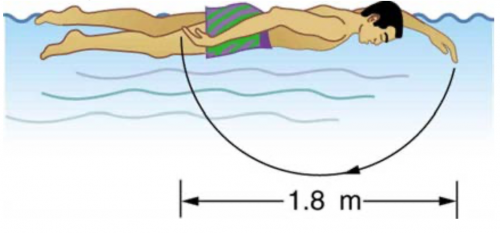 <b>Figure 7.44</b> The side view of a swimmer with a 1.8m stroke length.