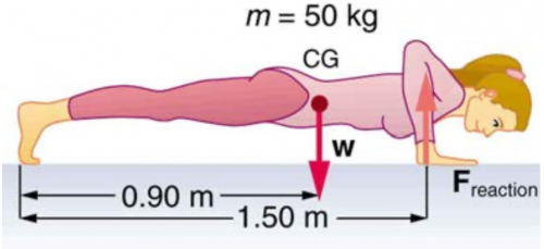 <b>Figure 7.45</b> Forces involved in doing push-ups. The woman's weight acts as a force exerted downward on her center of gravity.