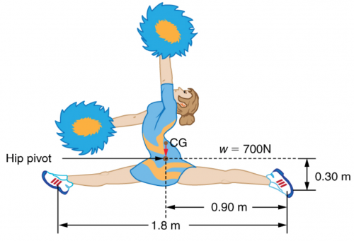 <b>Figure 9.35</b> A gymnast performs full split. The center of gravity and the various distances from it are shown.