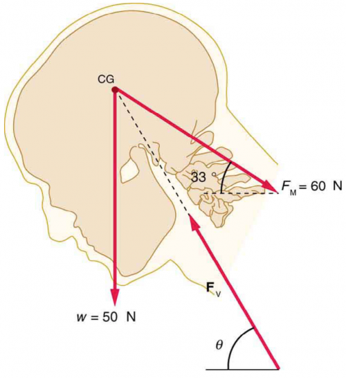 Giancoli 7th Edition, Chapter 11, Problem 39