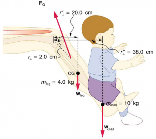 <b>Figure 9.42</b> A child being lifted by a father’s lower leg.