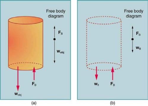 <b>Figure 11.20</b> An object submerged in a fluid experiences a buoyant force.