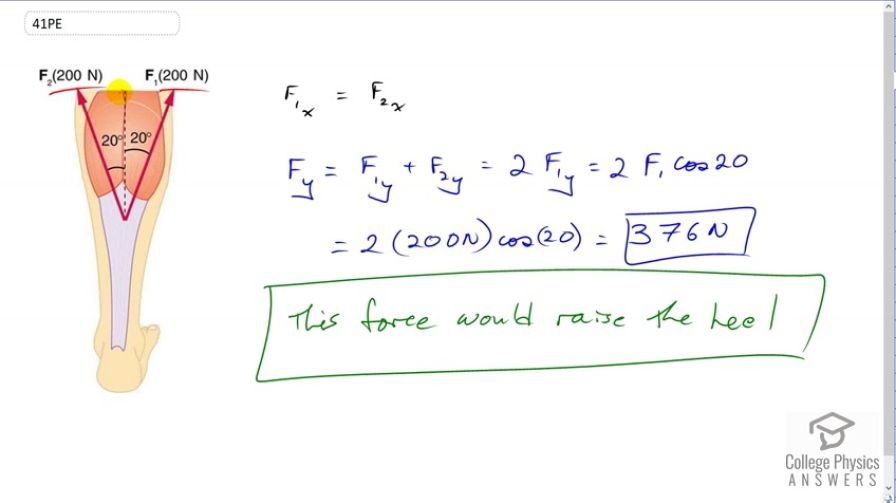 OpenStax College Physics, Chapter 4, Problem 41 (PE) video thumbnail