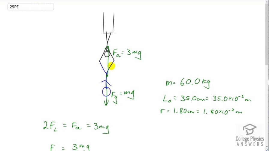 OpenStax College Physics, Chapter 5, Problem 29 (PE) video thumbnail