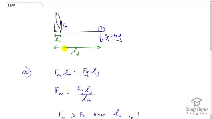 OpenStax College Physics, Chapter 9, Problem 11 (AP) video thumbnail