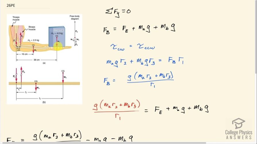 OpenStax College Physics, Chapter 9, Problem 26 (PE) video thumbnail