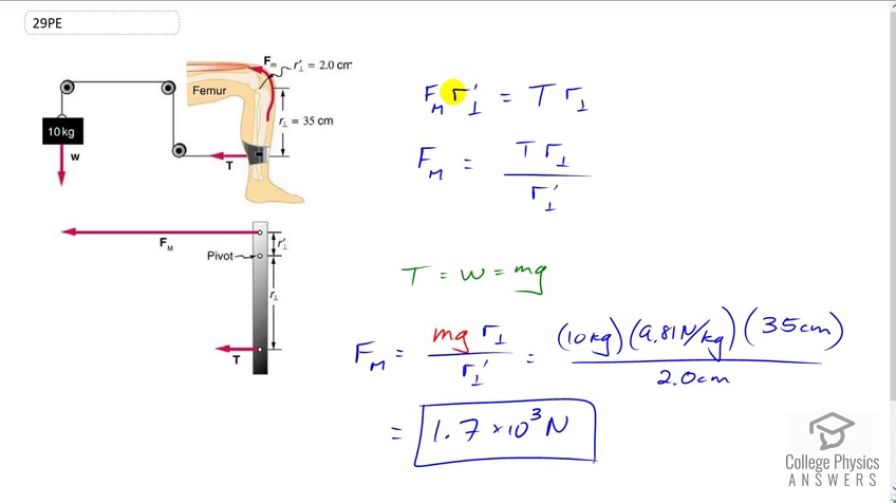 OpenStax College Physics Answers, Chapter 9, Problem 29 video poster image.