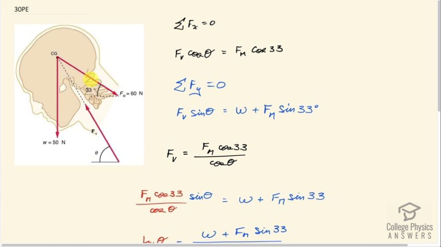 OpenStax College Physics, Chapter 9, Problem 30 (Problems & Exercises)