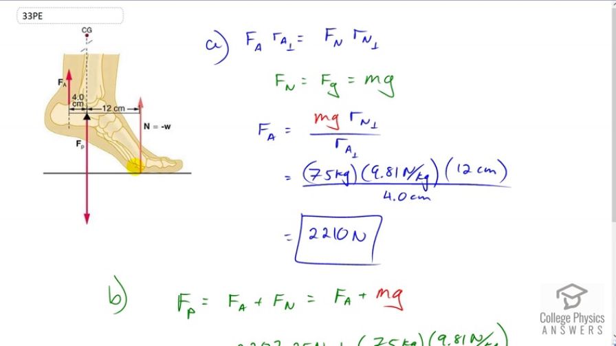 OpenStax College Physics, Chapter 9, Problem 33 (PE) video thumbnail