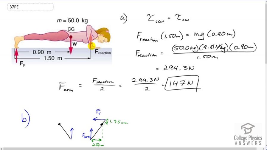 OpenStax College Physics Answers, Chapter 9, Problem 37 video poster image.
