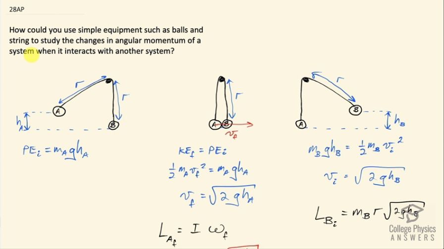 Physics balls hot sale on strings