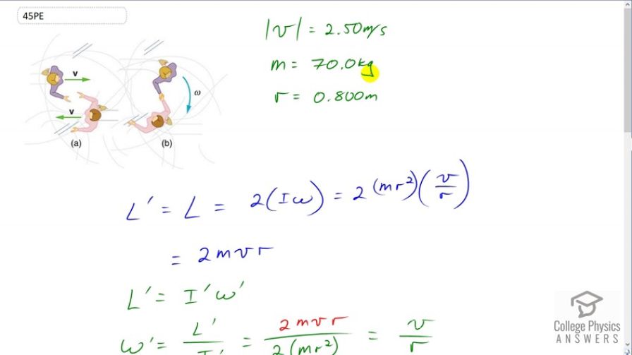 OpenStax College Physics, Chapter 10, Problem 45 (Problems & Exercises)