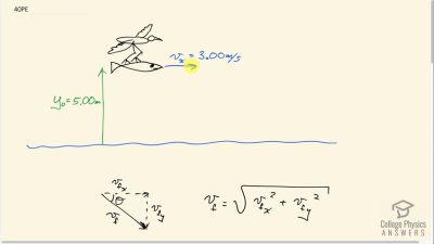 Chapter 3: Two-Dimensional Kinematics | OpenStax College Physics Answers