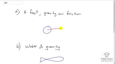 OpenStax College Physics Answers, Chapter 4, Problem 5 video poster image.