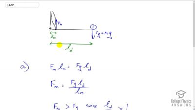 OpenStax College Physics Answers, Chapter 9, Problem 11 video poster image.