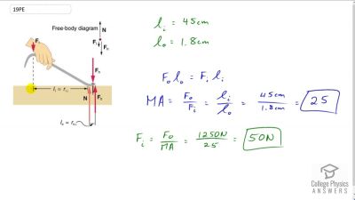 OpenStax College Physics Answers, Chapter 9, Problem 19 video poster image.