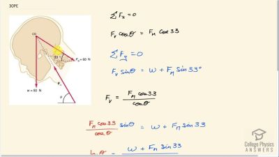 Chapter 9: Statics And Torque | OpenStax College Physics Answers