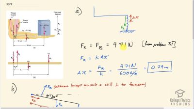 OpenStax College Physics Answers, Chapter 9, Problem 36 video poster image.