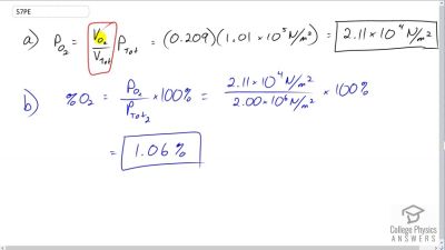 OpenStax College Physics Answers, Chapter 13, Problem 57 video poster image.